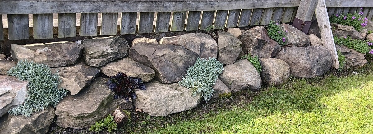 Spreading plants in rockery